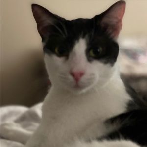 Meet your Posher, Sue